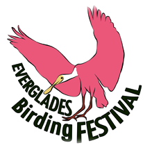 To Paddy's Everglades Birding Festival Website